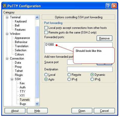 puttyconfig2