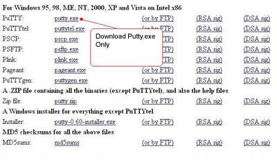 putty site